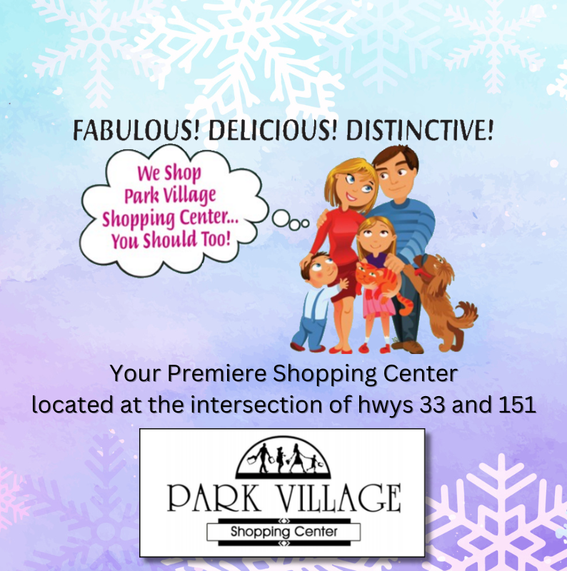 Park Village Shopping Winter